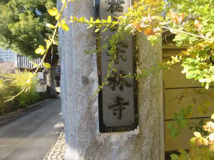 宗林寺(東京都)