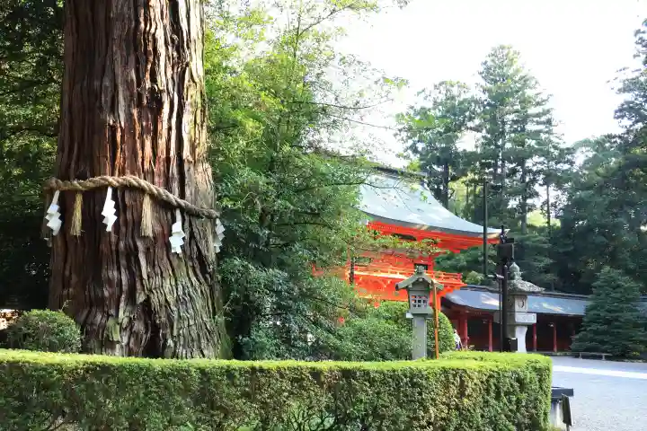 香取神宮(千葉県)