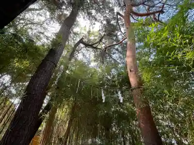 正一位稲荷大明神(東京都)
