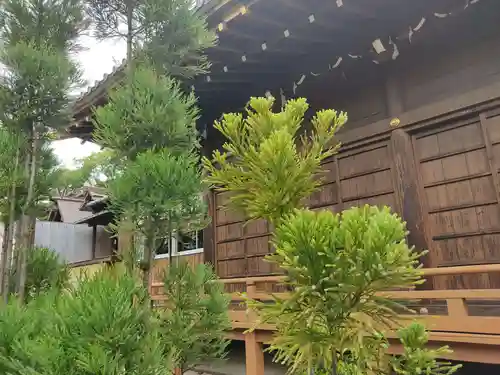 城南神社の本殿・本堂
