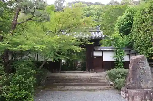 善法律寺(京都府)