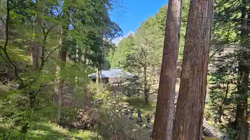 日光山輪王寺 大猷院(栃木県)