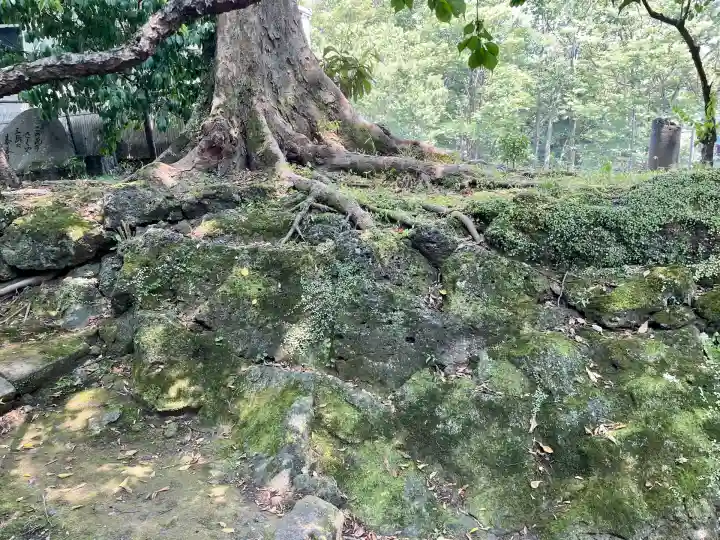 浅間神社(静岡県)