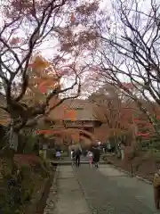 常寂光寺(京都府)