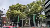 住吉神社の鳥居