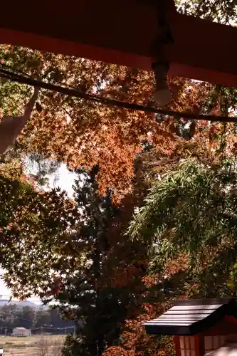 鼻顔稲荷神社(長野県)