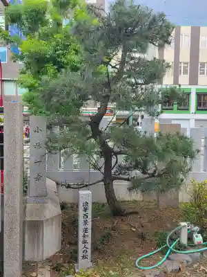 鵲森宮(大阪府)