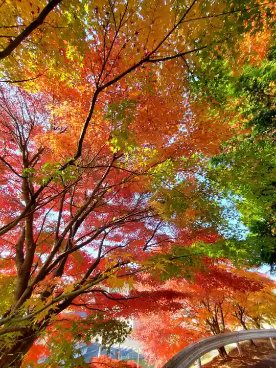 滑川神社 - 仕事と子どもの守り神の自然