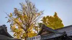 護王神社(京都府)