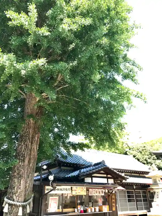 菊田神社のその他建物
