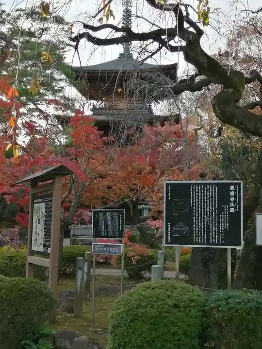 豪徳寺のその他建物