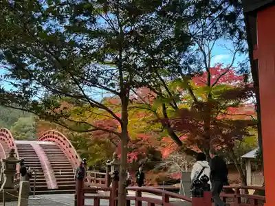 丹生都比売神社(和歌山県)