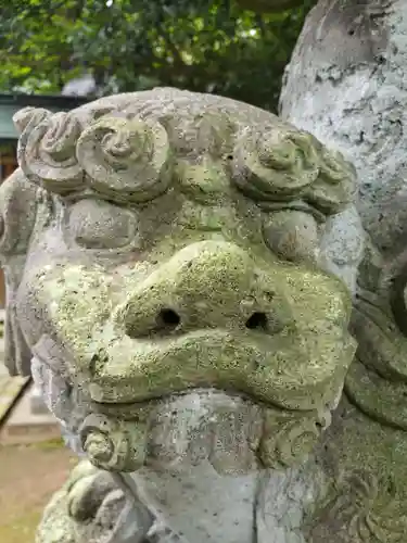 清水八幡神社の狛犬