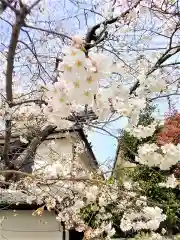 福島八幡宮の自然