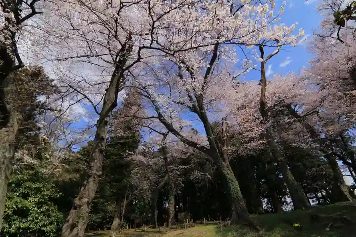神炊館神社 ⁂奥州須賀川総鎮守⁂の自然