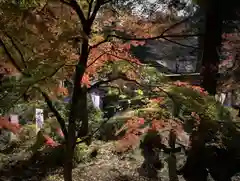 日光大室高龗神社の自然