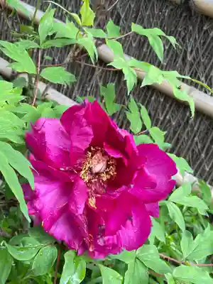 泥牛庵(神奈川県)