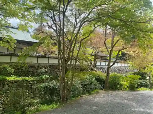 正暦寺の{uncategorized: "未分類", other: "その他", undefined: "問題あり", building: "その他建物", grave: "お墓", sacred_gate: "鳥居", guardian: "狛犬", statue: "像", buddha: "仏像", history: "歴史", nature: "自然", garden: "庭園", animal: "動物", pagoda: "塔", temizu: "手水舎", mountain_gate: "山門・神門", sanctuary: "本殿・本堂", subordinate: "末社・摂社", art: "芸術", scenery: "景色", jizo: "地蔵", ema: "絵馬", goshuin: "御朱印", omikuji: "おみくじ", items: "授与品その他", amulet: "お守り", goshuincho: "御朱印帳", eats: "食事", festival: "お祭り", votive_dance: "神楽", shichigosan: "七五三参", wedding: "結婚式", experience: "体験その他", initially: "初詣", around: "周辺", anti_infection: "感染症対策"}