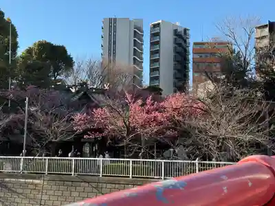 荏原神社(東京都)