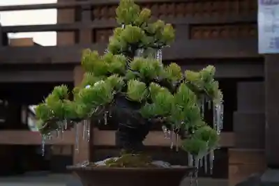 戸越八幡神社(東京都)