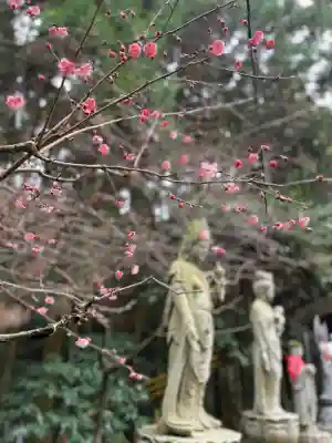 宝山寺の{uncategorized: "未分類", other: "その他", undefined: "問題あり", building: "その他建物", grave: "お墓", sacred_gate: "鳥居", guardian: "狛犬", statue: "像", buddha: "仏像", history: "歴史", nature: "自然", garden: "庭園", animal: "動物", pagoda: "塔", temizu: "手水舎", mountain_gate: "山門・神門", sanctuary: "本殿・本堂", subordinate: "末社・摂社", art: "芸術", scenery: "景色", jizo: "地蔵", ema: "絵馬", goshuin: "御朱印", omikuji: "おみくじ", items: "授与品その他", amulet: "お守り", goshuincho: "御朱印帳", eats: "食事", festival: "お祭り", votive_dance: "神楽", shichigosan: "七五三参", wedding: "結婚式", experience: "体験その他", initially: "初詣", around: "周辺", anti_infection: "感染症対策"}