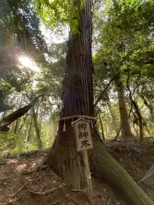 天満神社(千葉県)
