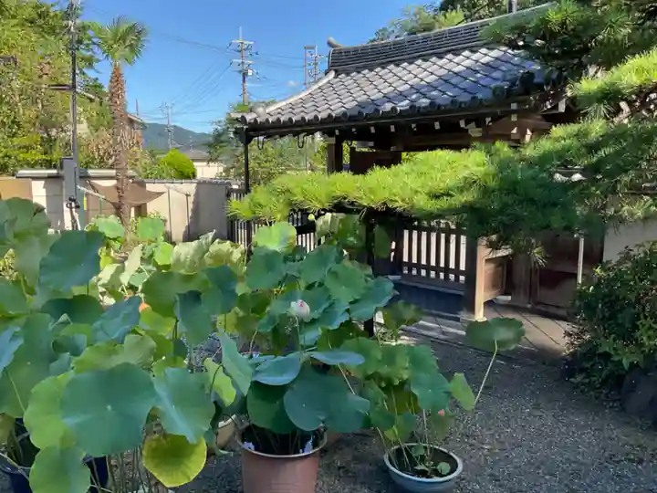 更雀寺(京都府)