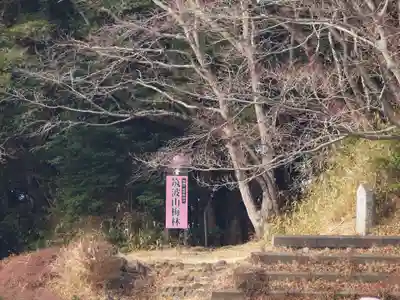 筑波山神社(茨城県)