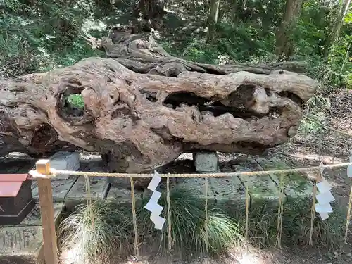 泉神社(茨城県)