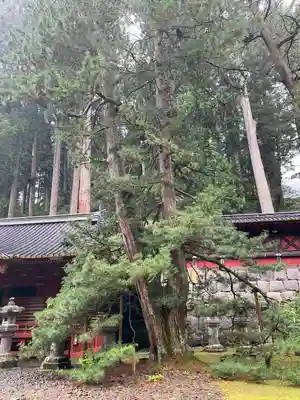 日光山輪王寺 大猷院(栃木県)