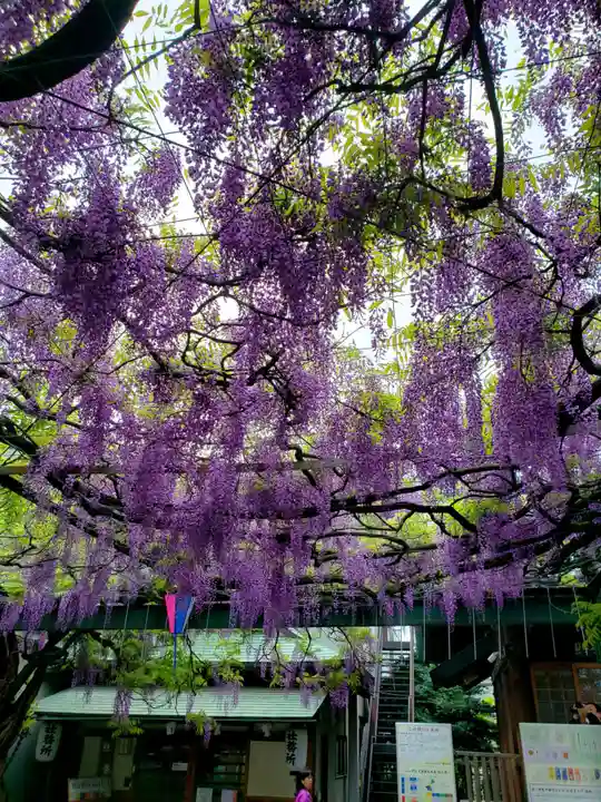 國領神社(東京都)