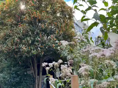 行願寺（革堂）(京都府)