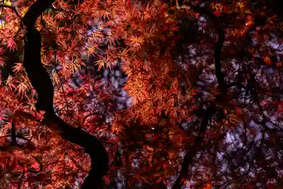 諏訪大社下社秋宮(長野県)