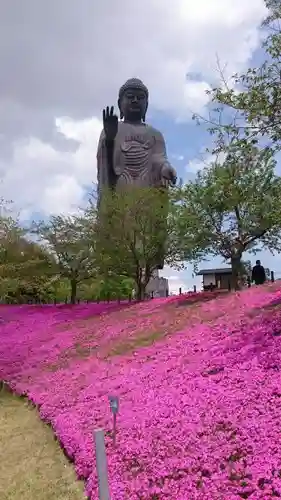 東本願寺本廟 牛久浄苑（牛久大仏）の仏像