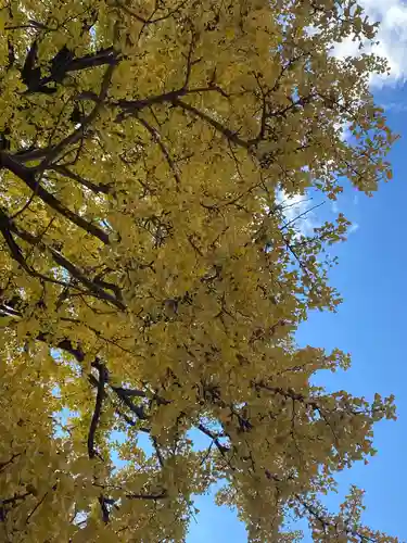 川内八幡宮(青森県)