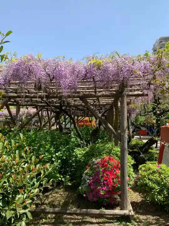 亀戸天神社(東京都)