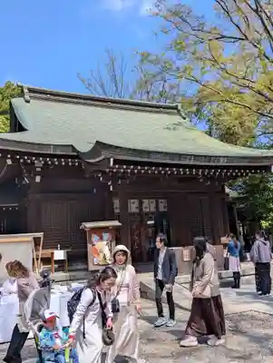川越氷川神社(埼玉県)