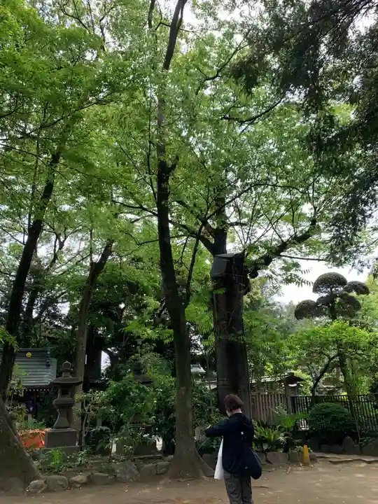 大鷲神社(東京都)