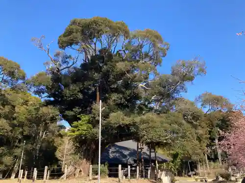 寂光寺(千葉県)