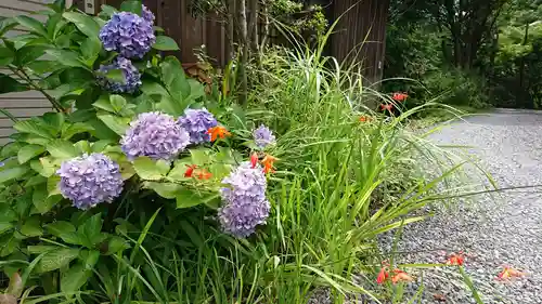 覚性律庵の自然