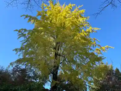 二尊院(京都府)