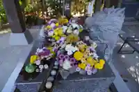 滑川神社 - 仕事と子どもの守り神の手水舎