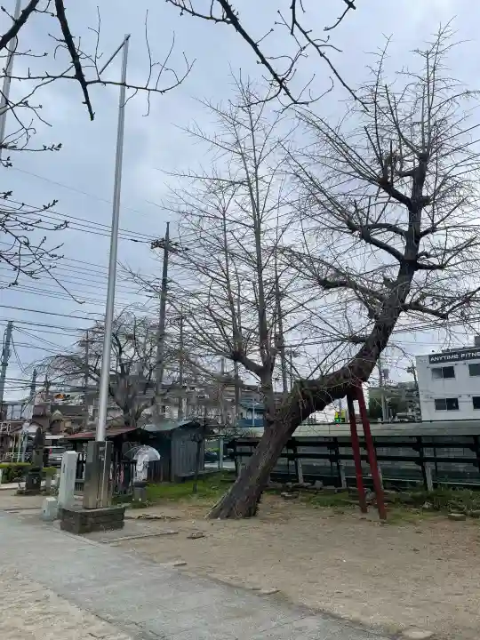 沼影観音堂(廣田寺)の{uncategorized: "未分類", other: "その他", undefined: "問題あり", building: "その他建物", grave: "お墓", sacred_gate: "鳥居", guardian: "狛犬", statue: "像", buddha: "仏像", history: "歴史", nature: "自然", garden: "庭園", animal: "動物", pagoda: "塔", temizu: "手水舎", mountain_gate: "山門・神門", sanctuary: "本殿・本堂", subordinate: "末社・摂社", art: "芸術", scenery: "景色", jizo: "地蔵", ema: "絵馬", goshuin: "御朱印", omikuji: "おみくじ", items: "授与品その他", amulet: "お守り", goshuincho: "御朱印帳", eats: "食事", festival: "お祭り", votive_dance: "神楽", shichigosan: "七五三参", wedding: "結婚式", experience: "体験その他", initially: "初詣", around: "周辺", anti_infection: "感染症対策"}