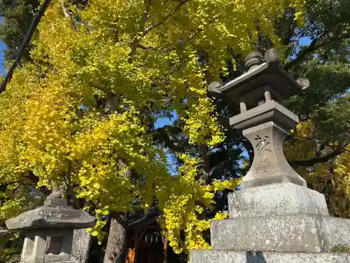 美奈宜神社(福岡県)