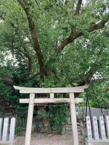 金岡神社の鳥居