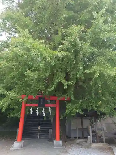 雷神社の鳥居