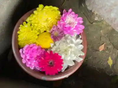 菅生神社(愛知県)