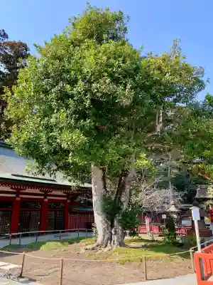 志波彦神社・鹽竈神社の{uncategorized: "未分類", other: "その他", undefined: "問題あり", building: "その他建物", grave: "お墓", sacred_gate: "鳥居", guardian: "狛犬", statue: "像", buddha: "仏像", history: "歴史", nature: "自然", garden: "庭園", animal: "動物", pagoda: "塔", temizu: "手水舎", mountain_gate: "山門・神門", sanctuary: "本殿・本堂", subordinate: "末社・摂社", art: "芸術", scenery: "景色", jizo: "地蔵", ema: "絵馬", goshuin: "御朱印", omikuji: "おみくじ", items: "授与品その他", amulet: "お守り", goshuincho: "御朱印帳", eats: "食事", festival: "お祭り", votive_dance: "神楽", shichigosan: "七五三参", wedding: "結婚式", experience: "体験その他", initially: "初詣", around: "周辺", anti_infection: "感染症対策"}