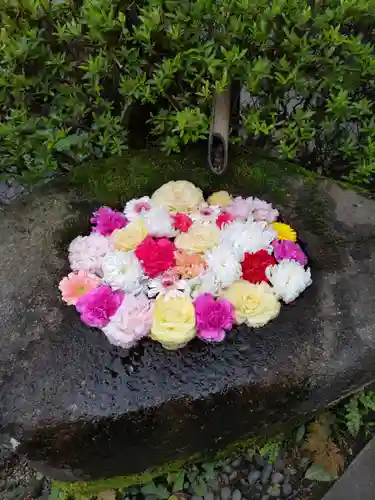 慶性院の手水舎