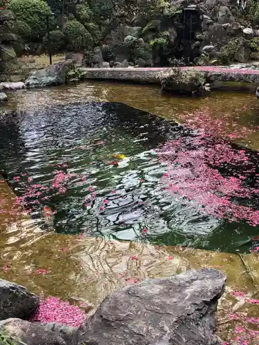 感通寺の庭園